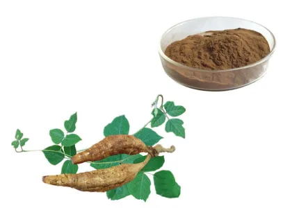 High Quality Pueraria Root Extract