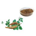High Quality Pueraria Root Extract