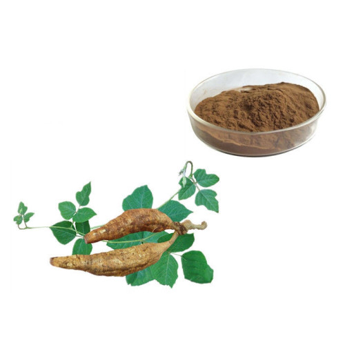 High Quality Pueraria Root Extract