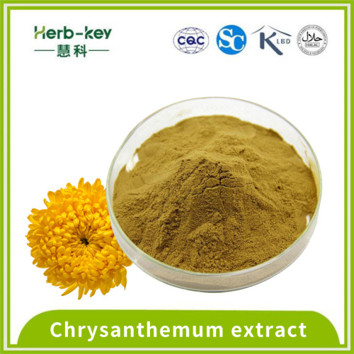 Hawthorn Berry Extract Clearing heat and detoxifying 10:1 Chrysanthemum Extract Supplier