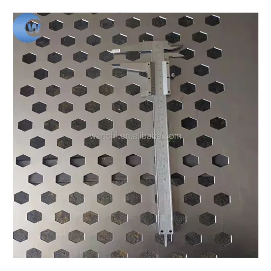 Customized Perforated Metal Mesh Stainless Steel Filters and Screens