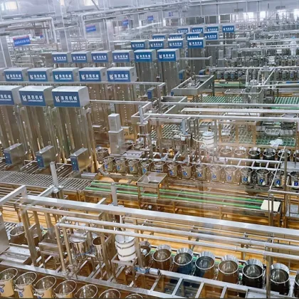 Hydraulic TOKAN Tofu Pressing Machine