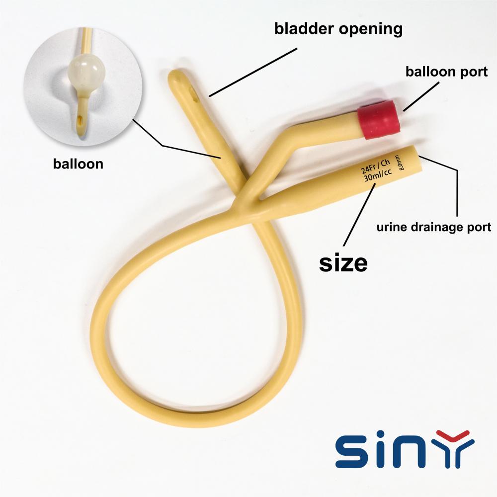 Foley Catheter