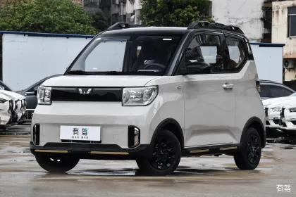 Affordable 2 Door Mini Electric Family Car: Wuling EV50