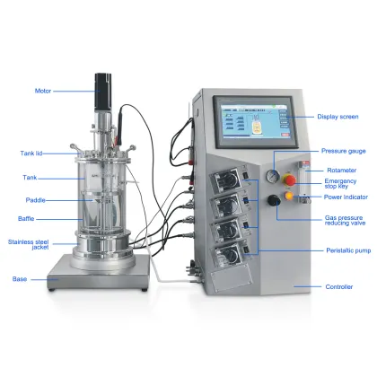 Semi-automatic Bioreactor Price - Customized Fermenter Mini Bioreactor for Laboratory