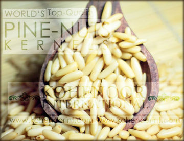 PAKISTANI PINE NUTS