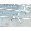 Galvanized Concertina Barbed Wire