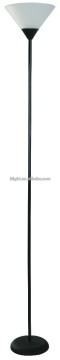 Cheap Plastic Floor Lamp, plastic shade and base, metal pole