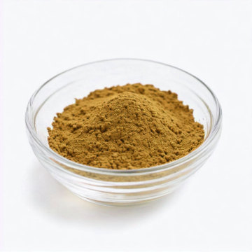 High Quality 2% Jujuboside Ziziphi Seed Extract