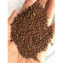 Perilla Seed high quality