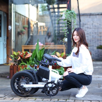 25 km/h 36V 250 W rower elektryczny: szybki eBike z 16-calową składaną konstrukcją z Changzhou, Chiny