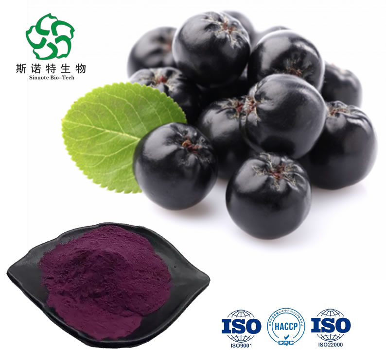 In polvere di estratto di chokeberry nero naturale con yanidine antocali