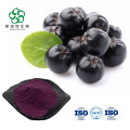 In polvere di estratto di chokeberry nero naturale con yanidine antocali