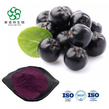 Natürlicher schwarzer Chokeberry -Extraktpulver mit Anthoc Yanidins