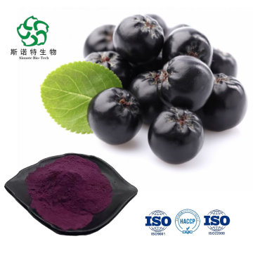 In polvere di estratto di chokeberry nero naturale con yanidine antocali