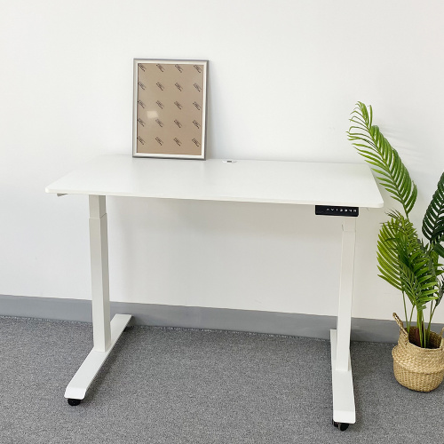 Adjustable Standing Desk Dual Motor