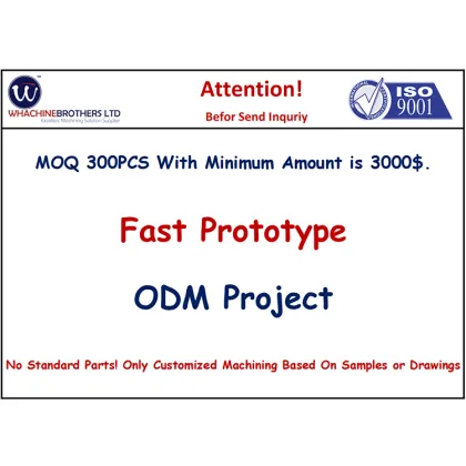 Whachinebrothers Ltd.: Customized Professional PVC Worm Gear for Auto Parts