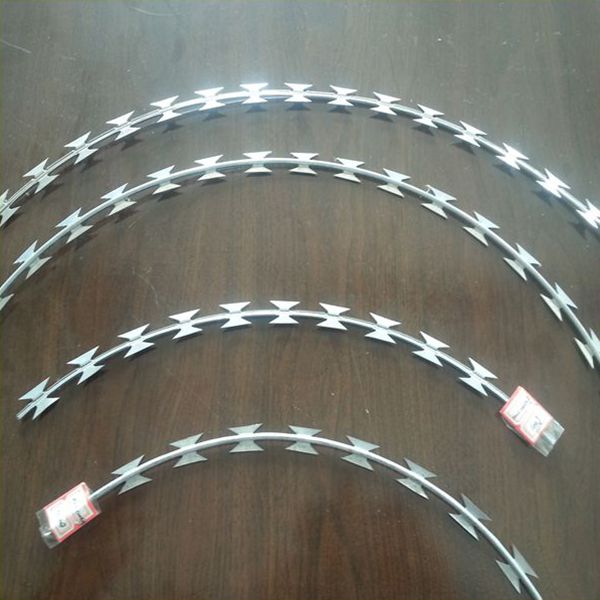 Hot dipped galvanized razor barbed wire in prison