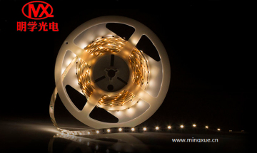 Ra90 SMD2835 LED Strip Light White LED Light Strip