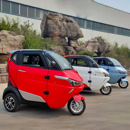 EEC Certified Senior Mobility Scooter with Lithium Battery and Cabin for Sale