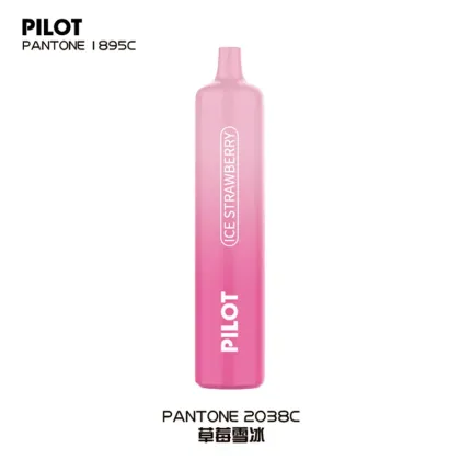 Marbo Disposable Vape Pen Pilot Max 2500puffs