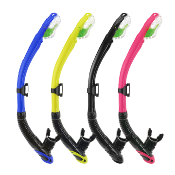 2024 Snorkeling professionale per immersioni e snorkeling gratuiti