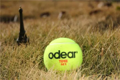 Bulk cheap tennis balls