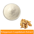 Polygonum cuspidatum extrakt resveratrol