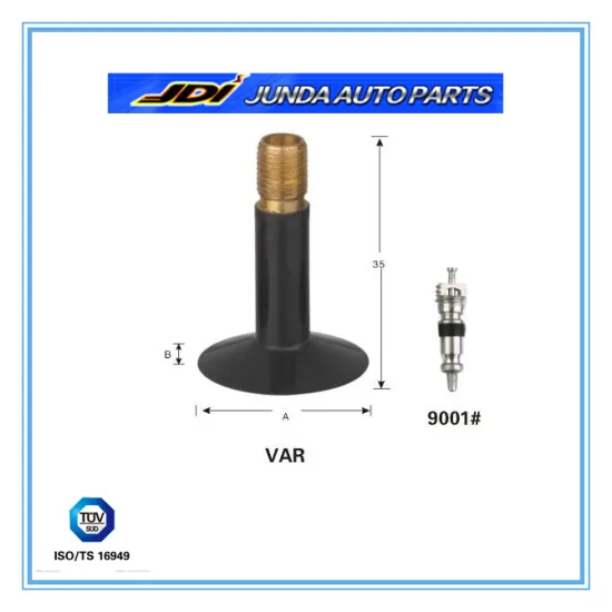 Bicycle valves VAR