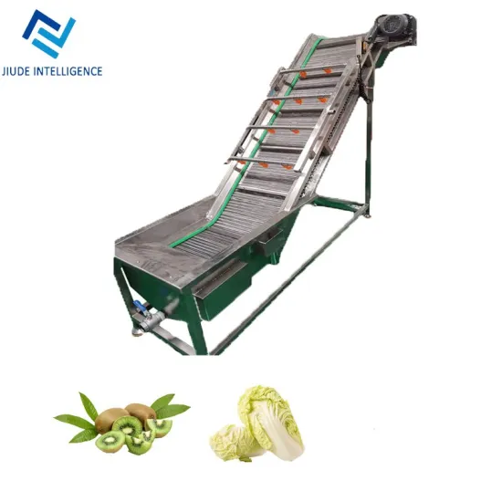 Fruit and vegetable ozone cleaning machine apple brush cleaning machine onion, ginger cleaning equipment