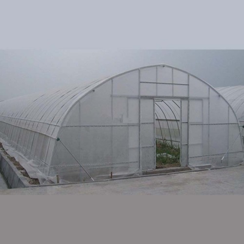 Film Greenhouse Tunnel Single Span