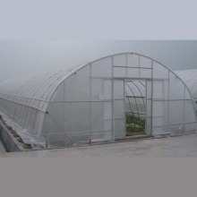 Greenhouse de tunnel à une seule portée