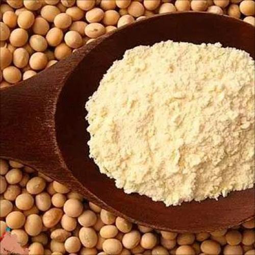 Plant protein meat replacement 90% Isolated Soy Protein