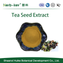 Extracto de semilla de té saponina de té