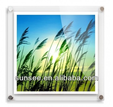 high quality elegant acrylic photo frame wall shelf wholesale