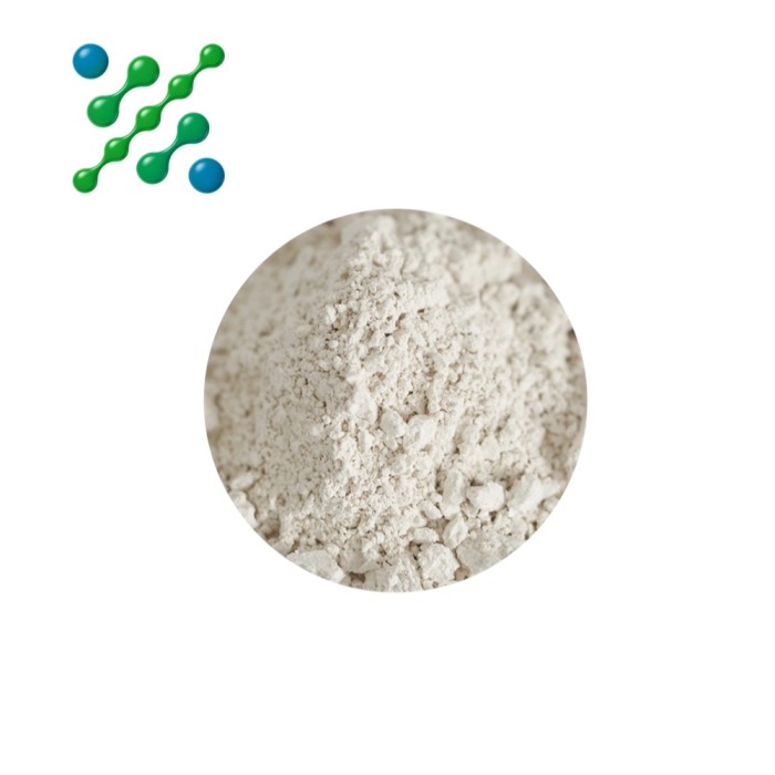 Acetyl L Carnitine Brain Support