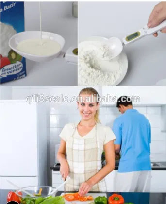 Small scale industries 500g electronic weighing spoon scale