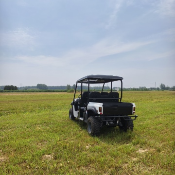 Hot Sale 4 Seat Electric Buggy UTV for Farm