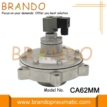 Goyen Type CA62MM 2-1/2'' Full Immersion Pulse Valve