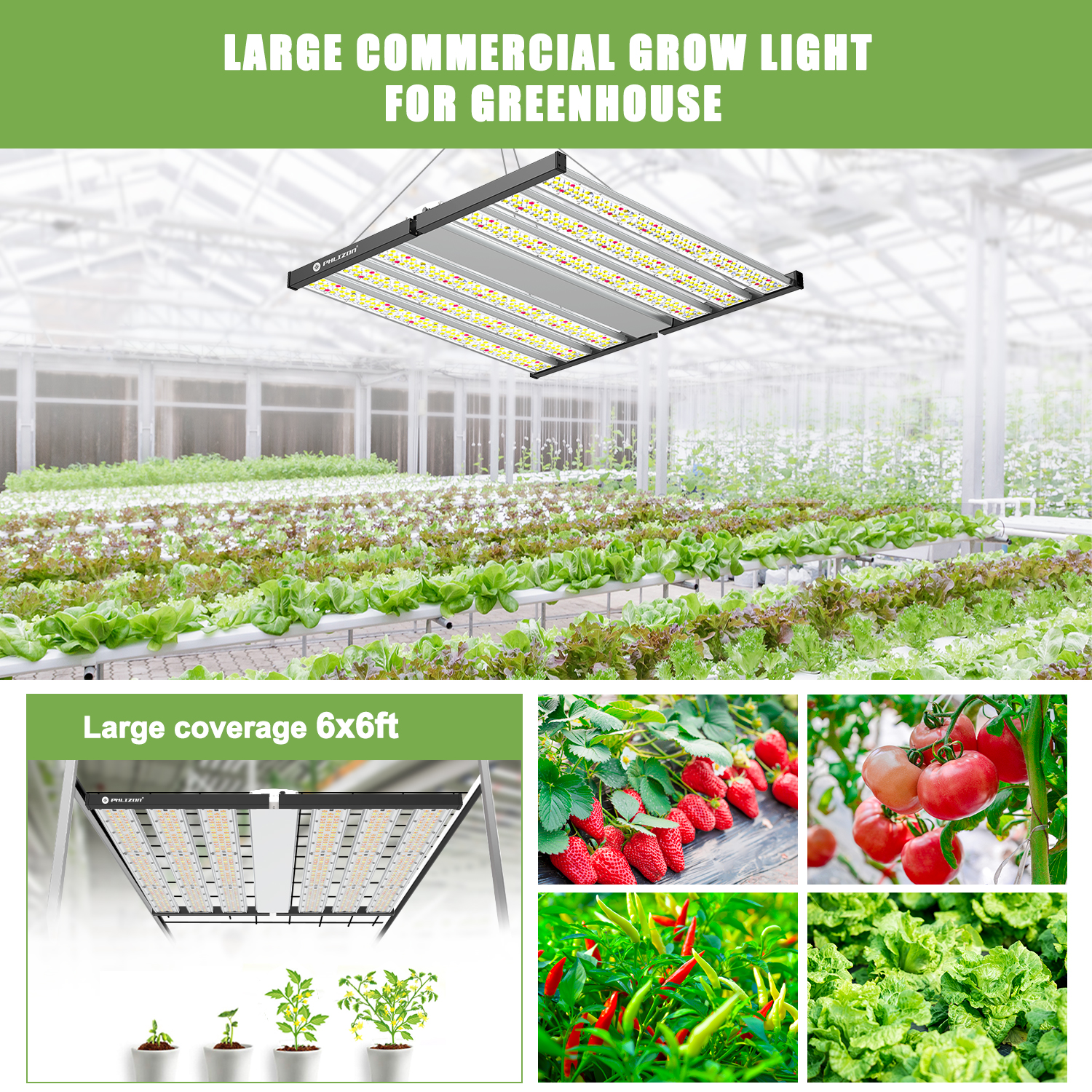 Grow Light Greenhouse