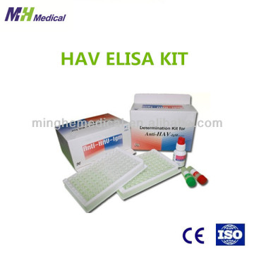 HAV elisa kit