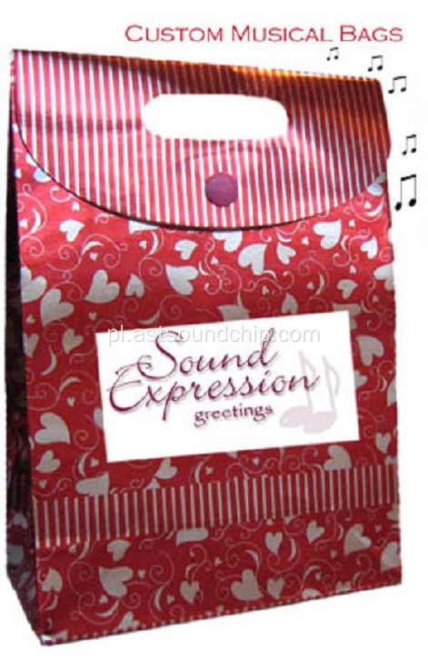 Music Paper Bag, Music Shopping Bag, Recordable Gift Gift