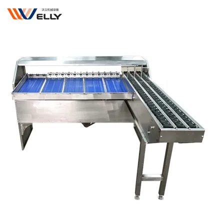 Egg Classifier Machine for Chicken Farms: Feedback-Focused Fish Egg and Duck Egg Grading & Sorting by Weight