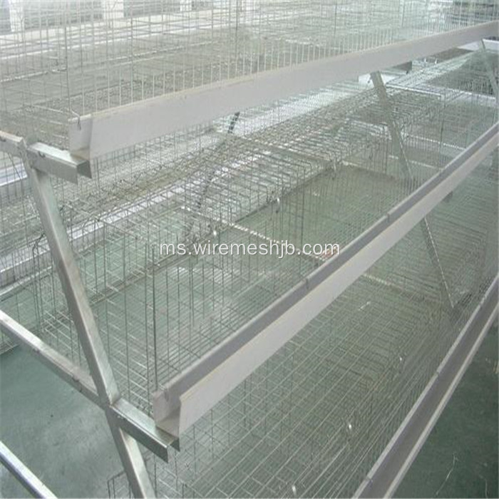 Panel Mesh yang dikimpal Galvanized Square untuk Chicken Cage