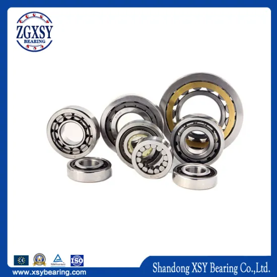 Nj308 Nu308 Nup308 N308 Cylindrical Roller Bearings