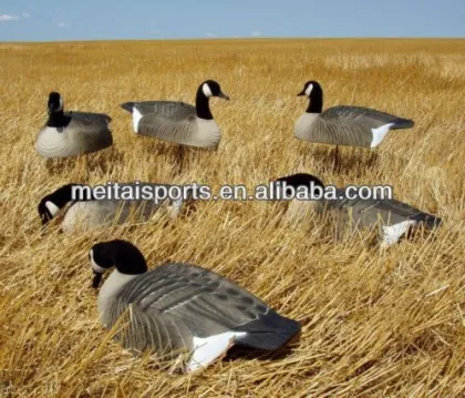 Canada Goose Shell Decoy