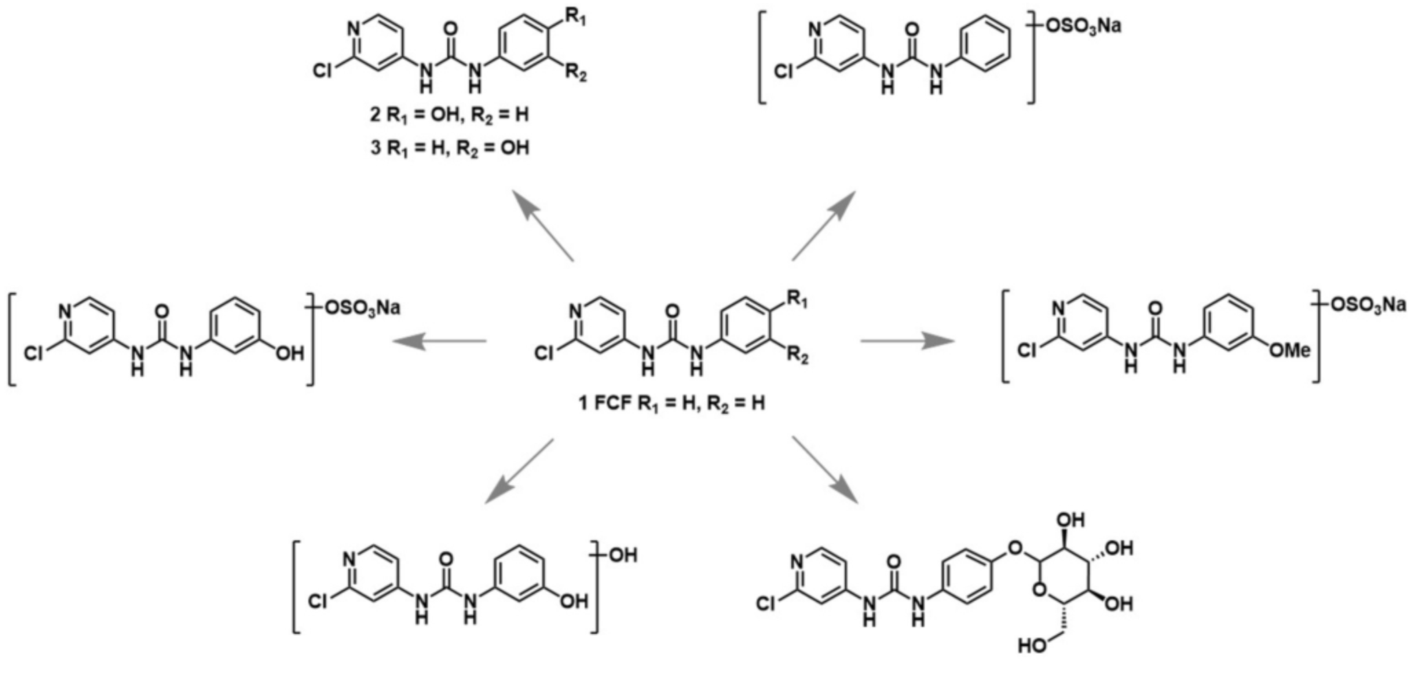 Cytokinin Plant Growth Regulator