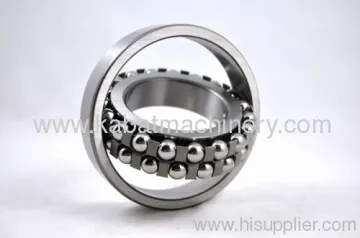 Self-aligning Ball Bearing 1205-2311 