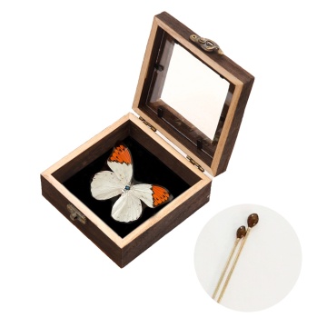 Butterfly Shadow Box with Top EVA Foam Pinning Board - Insect Display Case