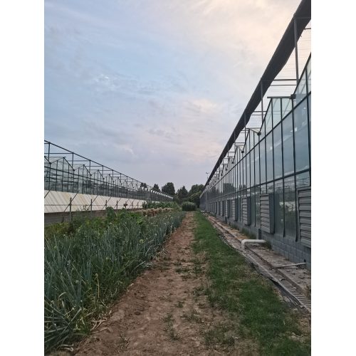 Agricultural Ecological Park Greenhouse
